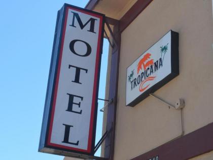 Tropicana Motel - image 15