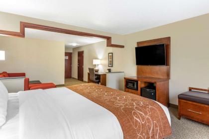 Comfort Suites Grand Rapids North - image 13