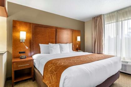 Comfort Suites Grand Rapids North - image 15