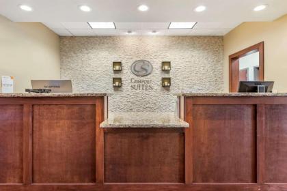 Comfort Suites Grand Rapids North - image 8