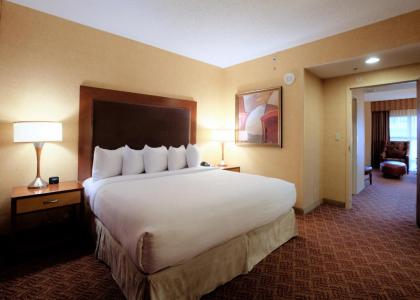 Embassy Suites Charlotte - Concord/Golf Resort & Spa - image 13