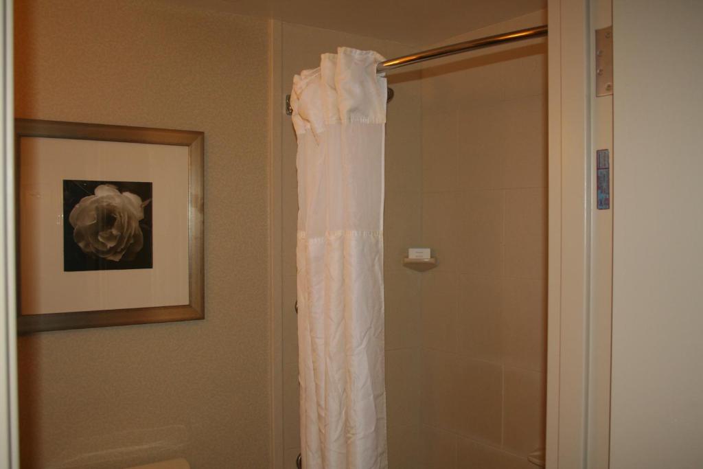 Hilton Garden Inn Charlotte/Concord - image 5