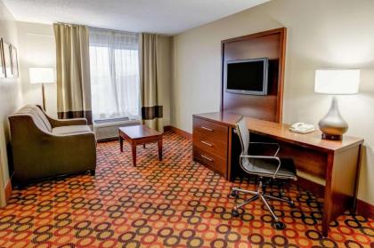 Comfort Suites Concord Mills - image 6