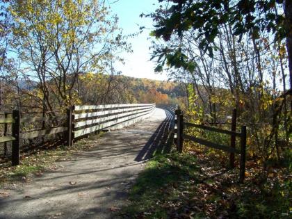 Connellsville Bed and Breakfast - image 10