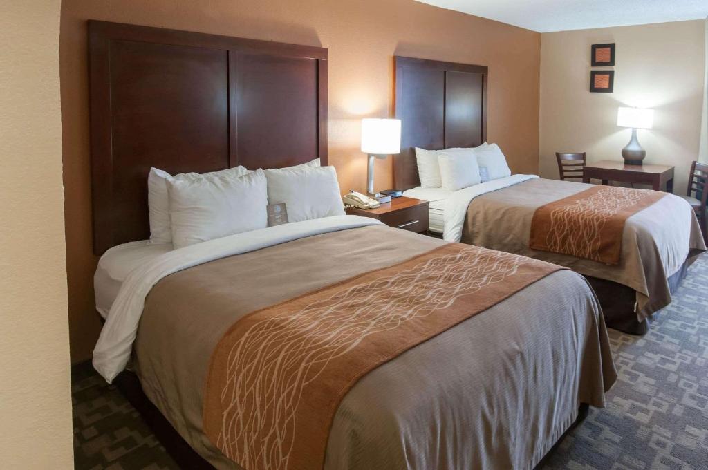 Comfort Inn Conroe - image 3