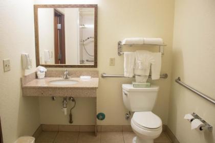 Best Western Plus San Antonio East Inn & Suites - image 3