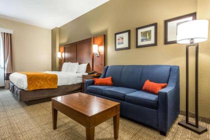 Comfort Suites At the University - image 11