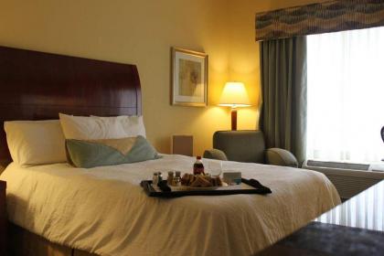 Hilton Garden Inn Conway - image 3