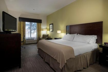 Holiday Inn Express Conway an IHG Hotel - image 9