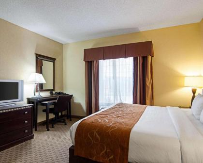 Comfort Suites Conway - image 11