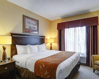 Comfort Suites Conway - image 12