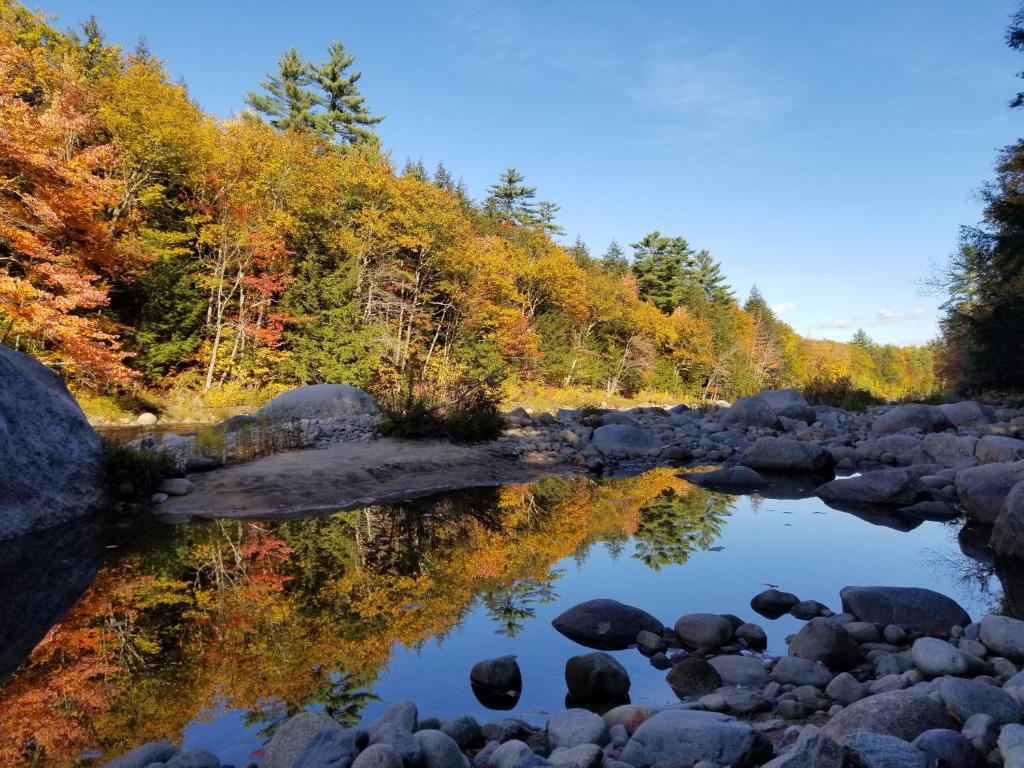 Kancamagus Swift River Inn - image 3