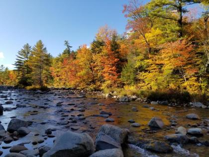 Kancamagus Swift River Inn - image 6