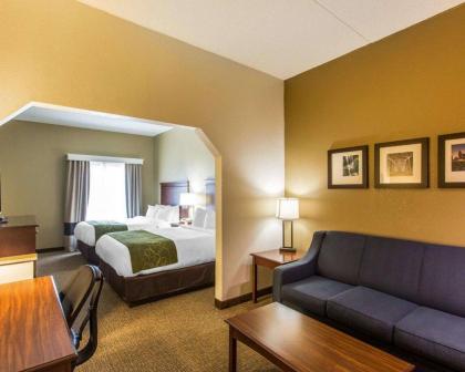 Comfort Suites Cookeville - image 11