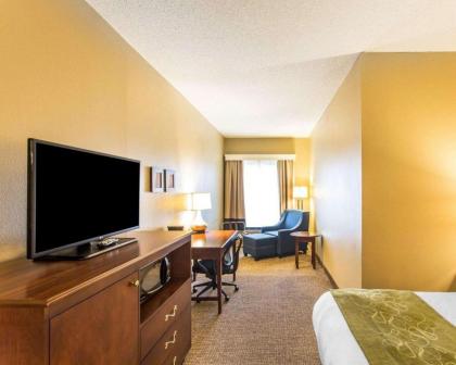 Comfort Suites Cookeville - image 15