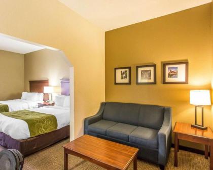 Comfort Suites Cookeville - image 2