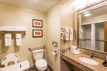 Comfort Inn & Suites Cookeville - image 3