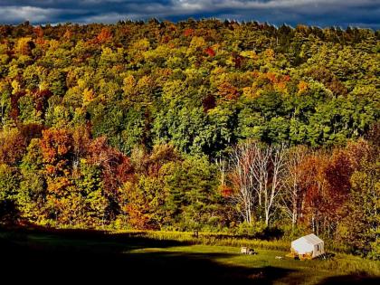 tentrr Signature   Fenimore Slope Cooperstown