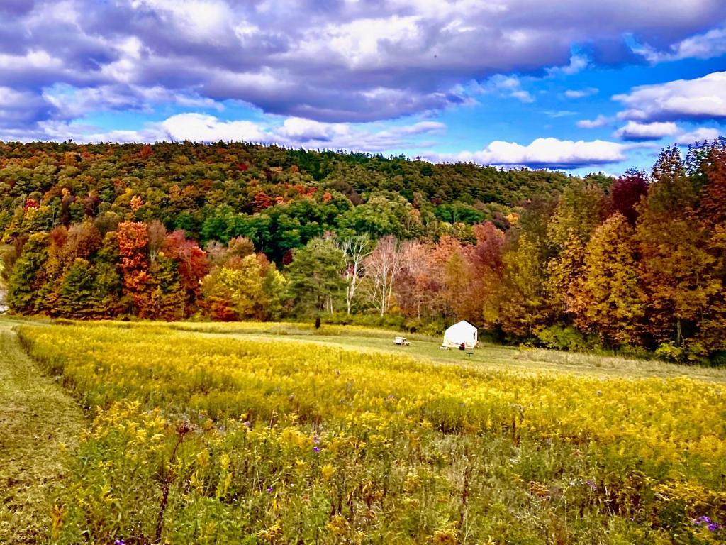 Tentrr Signature - Fenimore Slope - image 5