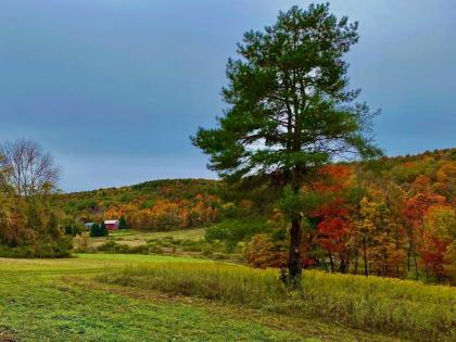 Tentrr Signature - Fenimore Slope - image 6