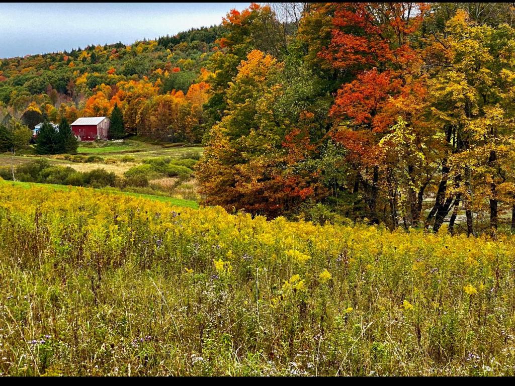 Tentrr Signature - Fenimore Slope - image 7