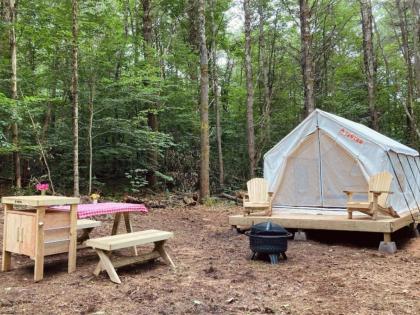 Luxury tents in Cooperstown New York