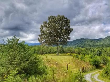 Eula Mae- Ocoee River Area - image 2