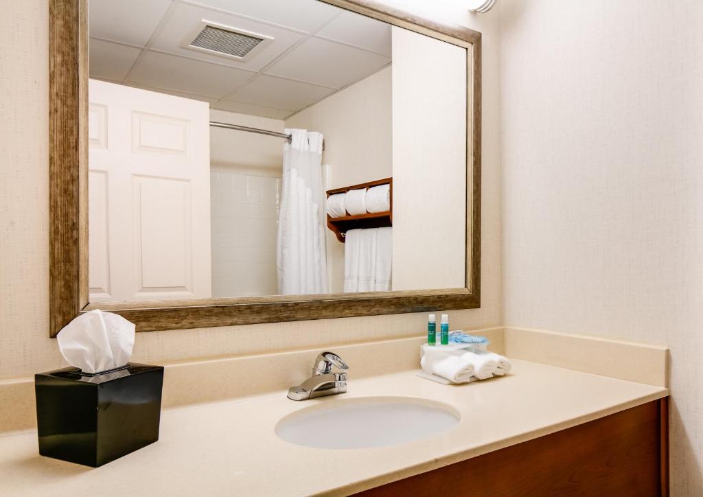 Holiday Inn Express Hotel & Suites Coralville an IHG Hotel - image 2