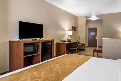 Comfort Suites Coralville I-80 - image 8