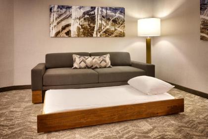 SpringHill Suites by Marriott Coralville - image 2