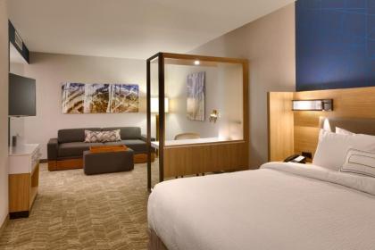 SpringHill Suites by Marriott Coralville - image 7