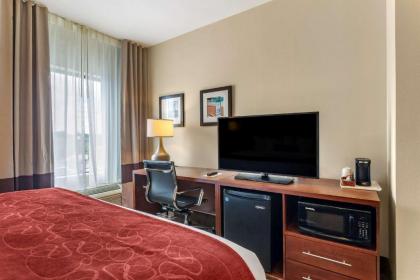 Comfort Suites Cordova - image 12