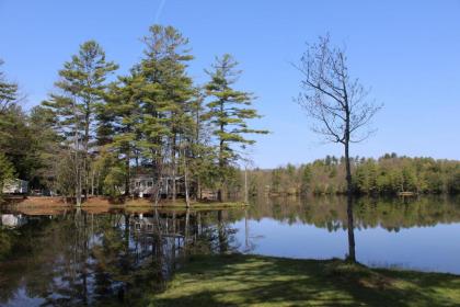 Alpine Lake Lakefront Park Model 4 - image 8