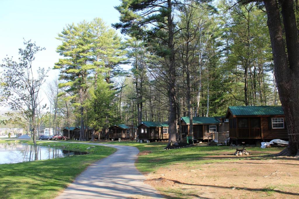 Alpine Lake Lakefront Cabin 5 - image 2