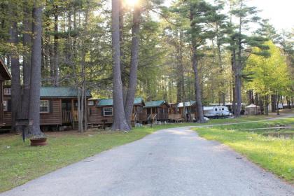 Alpine Lake Lakefront Cabin 5 - image 3