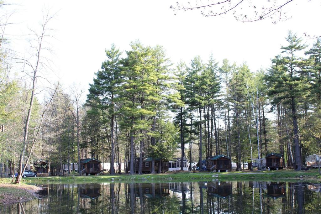 Alpine Lake Lakefront Cabin 5 - image 4