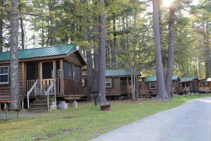 Alpine Lake Lakefront Cabin 5 - image 7