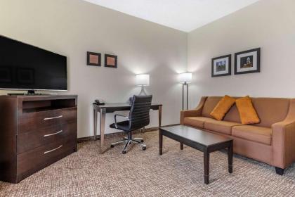 Comfort Inn & Suites Lake Norman - image 14