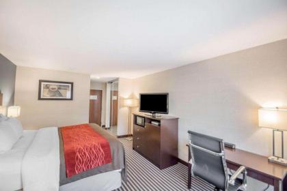 Quality Inn - image 10