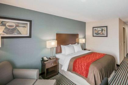 Quality Inn - image 9