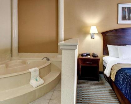 Comfort Inn Corsicana East - image 3