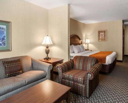 Comfort Suites Corvallis - image 4