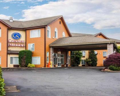 Comfort Suites Corvallis - image 5