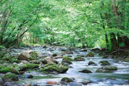 Cork's Creekside