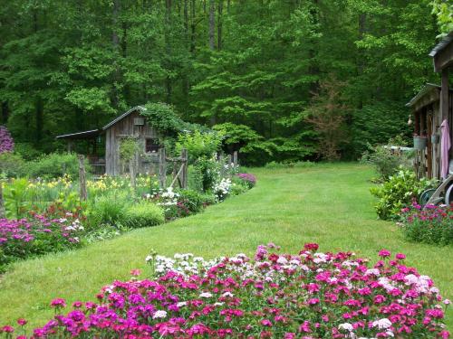 Garden of Eden Cabins - main image