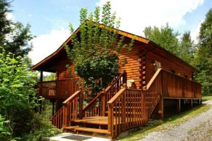 Spruce Lane Cabin ( 2 Bedroom)