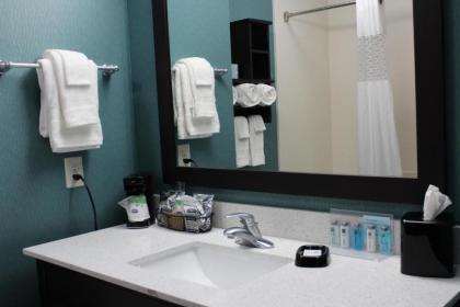 Hampton Inn Cotulla - image 5