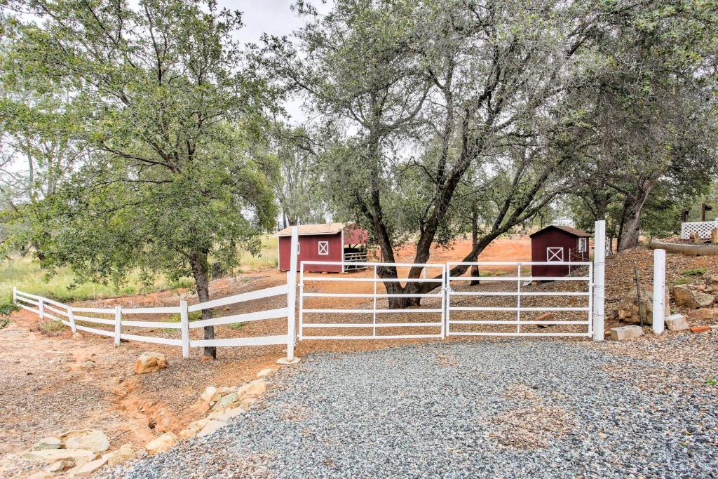 Peaceful Serenity Ranch - Day Trip to Yosemite! - image 2