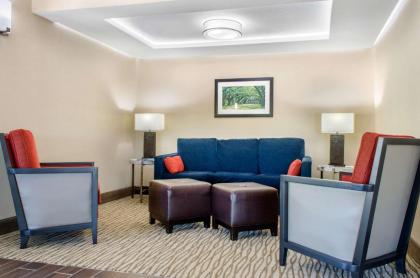 Comfort Inn & Suites Covington - Mandeville - image 2