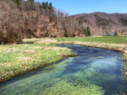 Tentrr Signature Site - Stick Marsh at Beaverdam Falls - image 13